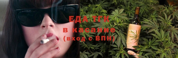 индика Арсеньев