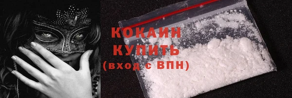 индика Арсеньев