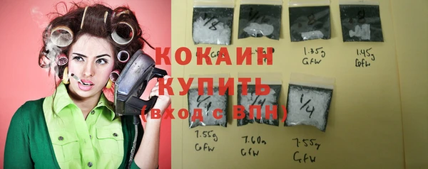 индика Арсеньев