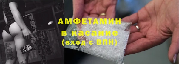индика Арсеньев