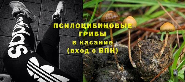 гидра Приозерск