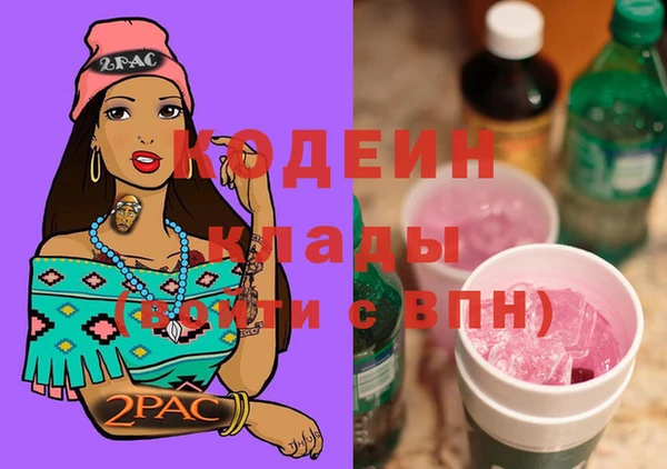 индика Арсеньев