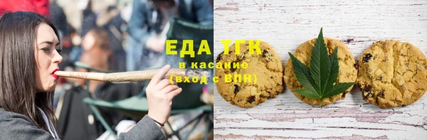 индика Арсеньев