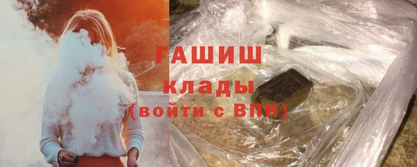 индика Арсеньев