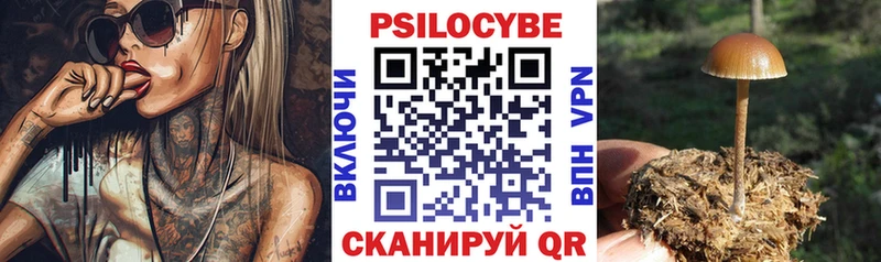 даркнет сайт  Бабушкин  Псилоцибиновые грибы прущие грибы 